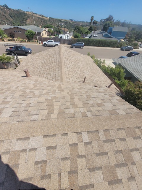 shingle006